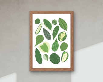 Types of Hoya Plant Species Art Print, Houseplant Lover Artwork Wall Decor, Green thumb Botanical, Nature Indoor garden urban jungle