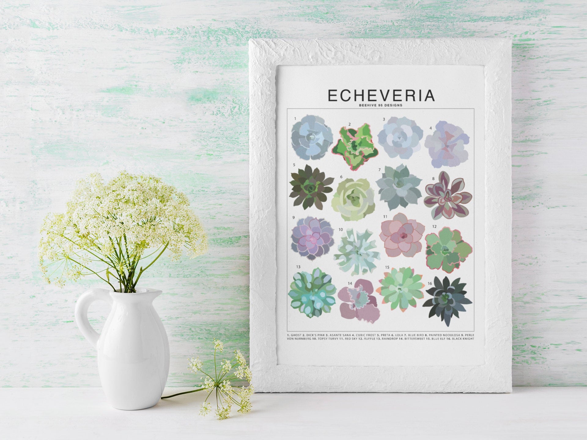 洋書 ECHEVERIA CULTIVARS 図鑑 洋書 ECHEVERIA CULTIVARS 図鑑 Amazon.co.jp: 洋書 ECHEVERIA