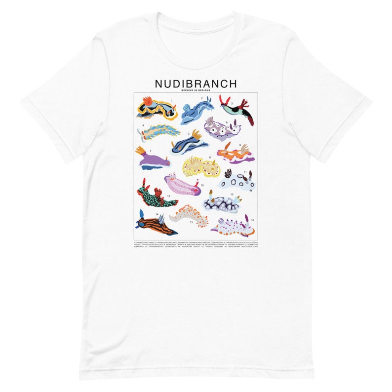 Nudibranch Sea Slug Species ID Chart T-Shirt, Ocean animal Marine life tee, Underwater Ocean lover Marine biology gift, Scuba diver reef image 8