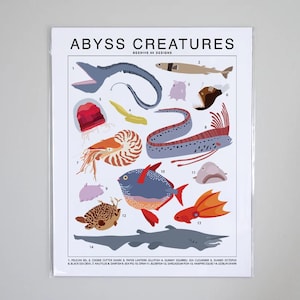 May include: A colorful illustrated poster featuring 14 different deep sea creatures, including a pelican eel, cookie cutter shark, paper lantern jellyfish, and a goblin shark. The poster is titled "Abyss Creatures" and includes the text "Beehive 95 Designs".