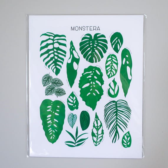 Types of Monstera Plant Species Art Print, Houseplant Lover Artwork Wall  Decor, Green Thumb Botanical, Nature Garden Urban Jungle - Etsy