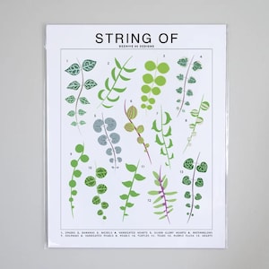 May include: A printable chart with illustrations of 13 different types of string of plants. Each plant is labeled with a number and a name, such as "Spades", "Bananas", "Nickels", and "Watermelons".