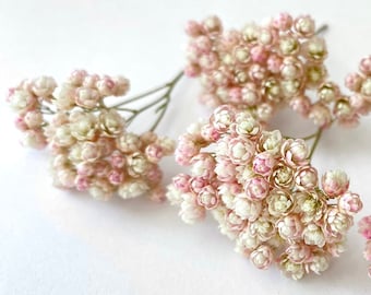 Fiori secchi di Ozothamnus. Set di autentici rami di fiori di riso rosa per la creazione di gioielli in resina, artigianato per hobby, terrari, decorazioni rustiche.