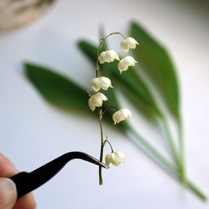 Parure de fleurs de muguet séché véritable. Grandes et PETITES fleurs pour moulage de bijoux en résine, travaux manuels, fabrication de terrariums, décoration rustique.