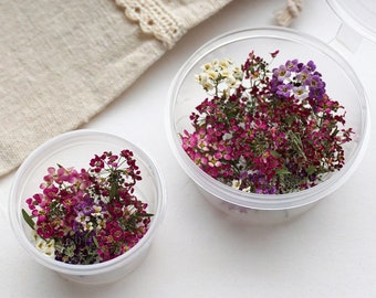 Puede incluir: Dos recipientes de plástico transparente llenos de flores secas en tonos rosa, morado y blanco. Una bolsa de tela beige con un ribete de encaje es visible en el fondo. Los recipientes están sobre una superficie blanca.