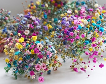 Puede incluir: Un racimo de flores de paniculata secas que presenta una mezcla vibrante de pétalos teñidos en tonos azul brillante, rosa intenso, amarillo soleado, morado y verde suave, dispuestos en una formación densa y ramificada con tallos finos.