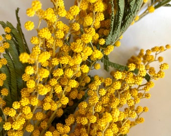 Puede incluir: Un ramo de flores de mimosa de color amarillo brillante con hojas verdes. Las flores están en flor y tienen un aspecto delicado y plumoso.