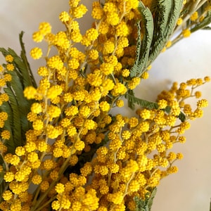Könnte beinhalten: Ein Strauß leuchtend gelber Mimosenblüten mit grünen Blättern. Die Blüten sind in voller Blüte und haben ein zartes, federartiges Aussehen.