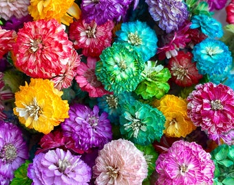 Puede incluir: Primer plano de una colección de flores secas de colores brillantes, incluyendo amarillo, rojo, rosa, morado, verde y azul. Las flores tienen un diseño de pétalos en capas y están densamente empaquetadas. Adecuado para manualidades o fines decorativos.