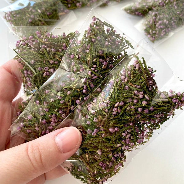 Dried forest Heather Confetti. Small pack of dried forest Heather for resin jewelry casting, hobby crafts, terrarium making, candles, decor.