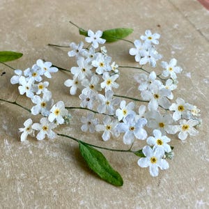 May include: Close-up of delicate white forget-me-not flowers with yellow centers and green leaves. The flowers are arranged on a light brown surface. The image showcases the natural beauty of the small, five-petaled blossoms.