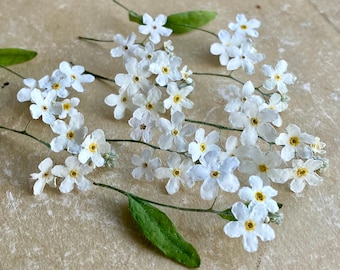 Puede incluir: Primer plano de delicadas flores blancas de nomeolvides con centros amarillos y hojas verdes. Las flores están dispuestas sobre una superficie marrón claro. La imagen muestra la belleza natural de las pequeñas flores de cinco pétalos.