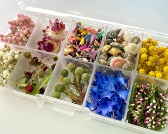 Puede incluir: Un organizador de plástico transparente lleno de varias flores secas, pétalos y conchas marinas. Los compartimentos contienen elementos rosas, blancos, amarillos y azules, incluyendo pequeñas flores, pétalos y conchas. Ideal para manualidades o decoración.