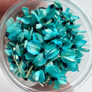 Tiny blue color Genista flowers. A SET of dried Genista flowers. Flowers for resin jewelry casting, hobby crafts, decor
