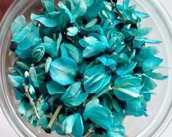 Puede incluir: Un pequeño recipiente transparente lleno de flores azules secas. Las flores son delicadas y tienen un color azul claro.
