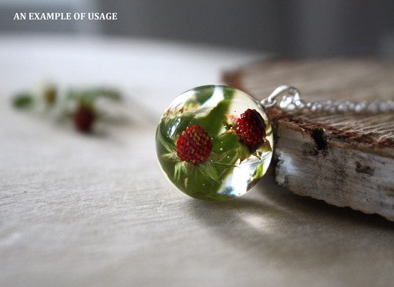 May include: A silver chain necklace with a clear glass pendant containing two red berries and green leaves.