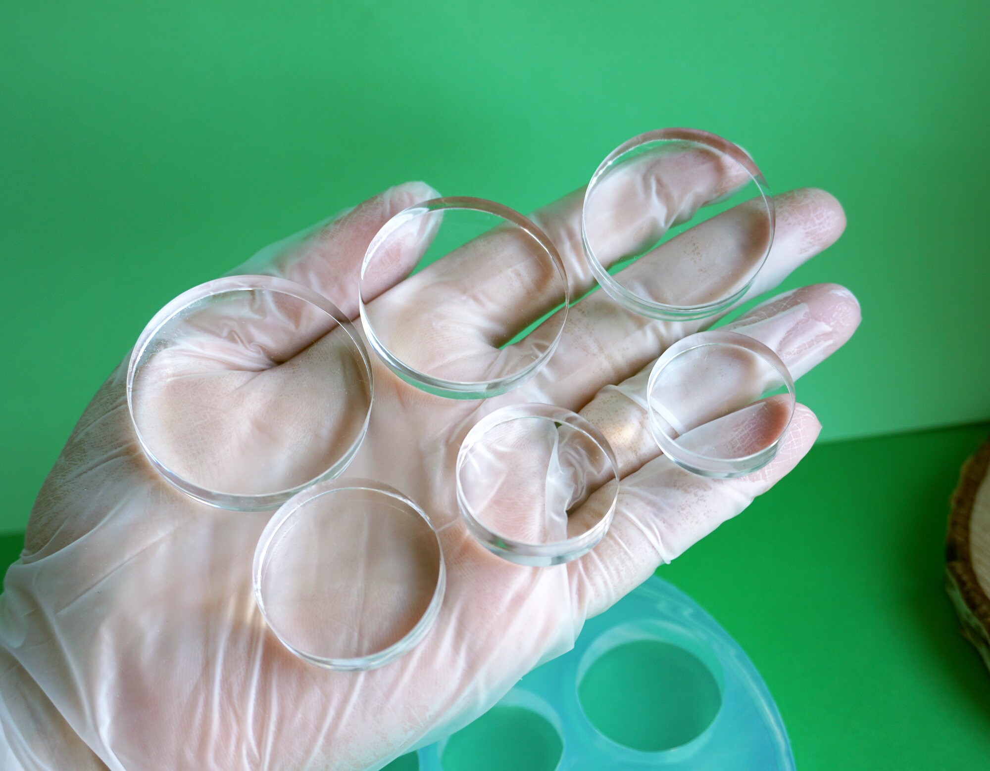 Transparent Silicone Mold for 6 Flat Circles: 40, 37, 35, 30, 27, 25 Mm ...