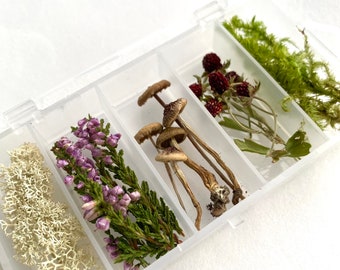 Kit botánico de plantas secas: setas, musgo, brezo, fresas silvestres - Artesanía en resina