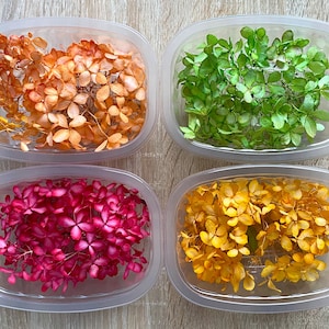 Dyed Dried Hydrangea Flowers: Resin Crafts & Rustic Decor