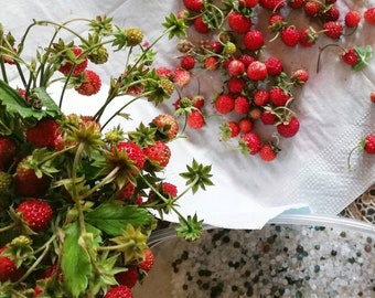 Puede incluir: Un montón de fresas rojas frescas con hojas verdes sobre una superficie blanca. Las fresas están esparcidas alrededor de un bol lleno de pequeñas cuentas blancas.