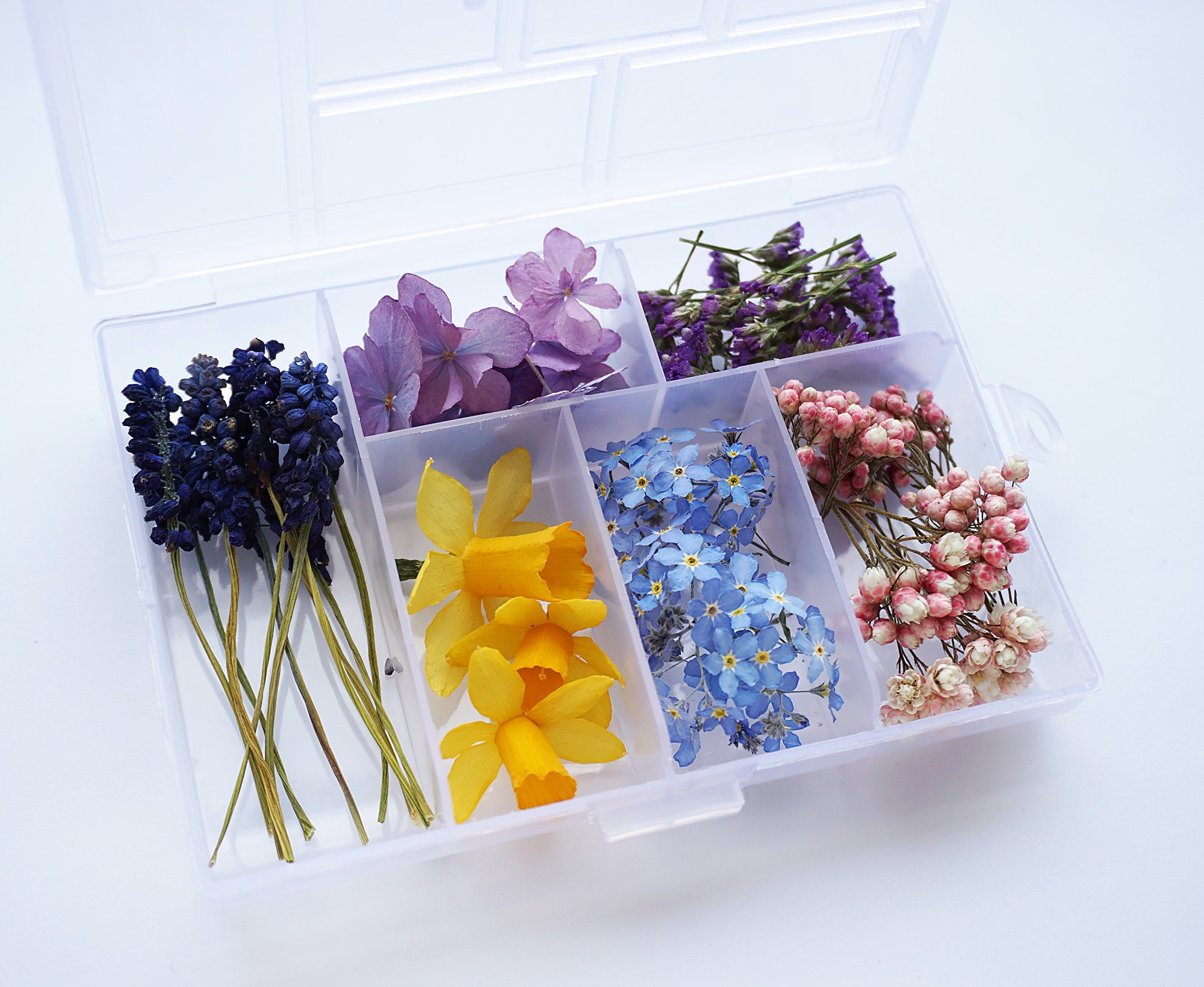 FLOWER BOX 1 a mix of dried flowers for resin jewelry Etsy