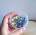 MIX of Dried Blue & White Forget me not flowers. A SET of 10 or 20 Genuine dried Forget me not flower BRANCHES for resin jewelry and crafts. 