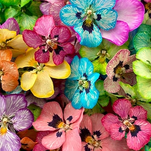 Multicolored Dried Viola flowers. Volumetric Viola, Pansy. Dyed dried viola for resin jewelry casting, hobby crafts, terrarium making, decor