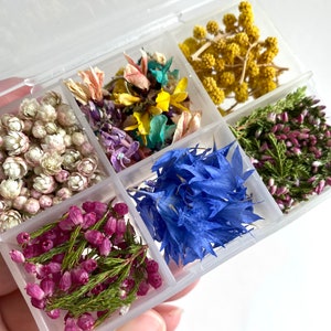 May include: A clear plastic organizer filled with dried flowers in various colors. The compartments contain white, yellow, blue, purple, and pink flowers, and green stems. The flowers are likely for crafting or decorative purposes.