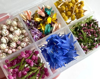 Puede incluir: Un organizador de plástico transparente lleno de flores secas de varios colores. Los compartimentos contienen flores blancas, amarillas, azules, moradas y rosas, y tallos verdes. Las flores son probablemente para manualidades o fines decorativos.