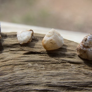 Small Rock of Unknown Type