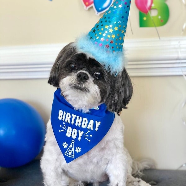 Dog Bandana for Birthday, Dog Birthday Boy, Slip on, Matching Pet & Owner, Birthday Bandana, Blue Birthday Bandana, Dog or Cat Birthday Gift