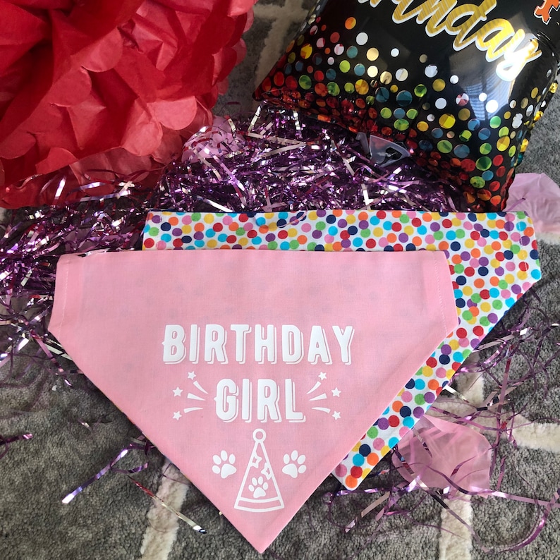 Dog Birthday Bandana Girl Happy Birthday Dog Bandana Over the Collar