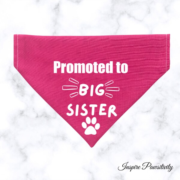 Big Dogs Collar Etsy