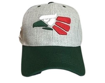 Hecho En México Gorras de béisbol bordadas digitalmente de 2 tonos - Combinación de color gris y verde - Estilo Uni-Sex *Envío GRATUITO a EE. UU.* (CapMx106)