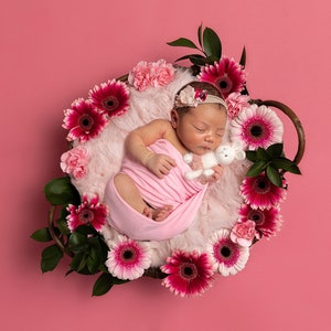 Digital backdrop background newborn baby girl flowers pink fur wooden bowl