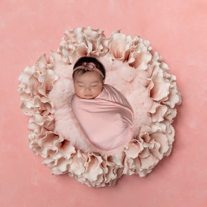 NEWBORN DIGITAL BACKDROP, Newborn Background, Girl Newborn Digital, Digital Backdrop, Newborn Photography Props, Pink newborn backdrop