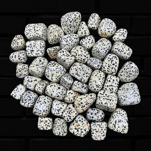 Geoworld - Tumbled Stone - Dalmantine - XL