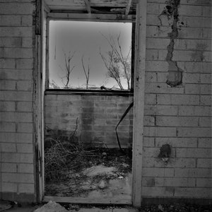 Photography