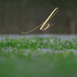 Purple Flowers 4 Pack Digital Photography Background
