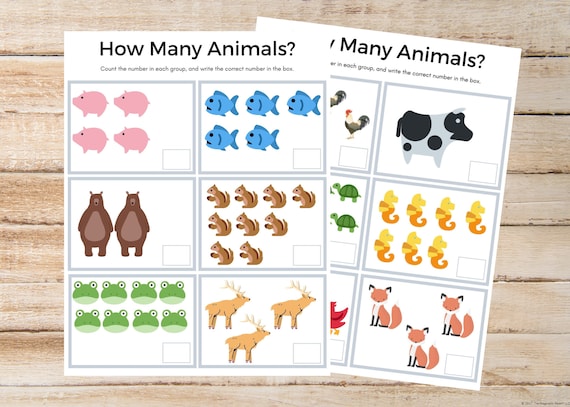 animal counting beginning math kindergarten worksheet etsy new zealand