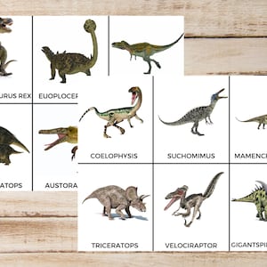 18 Tarjetas Montessori de 3 partes de dinosaurios, Tarjetas de animales para niños, Tarjetas de animales, Tarjetas Montessori para niños, Tarjetas de tres partes, Tarjetas didácticas de dinosaurios