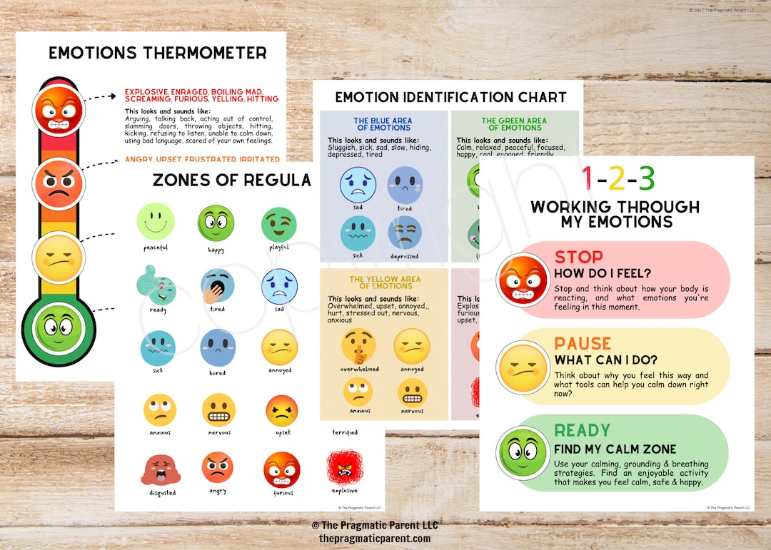 Emotions Identification Posters, Self Regulate, Big Emotions