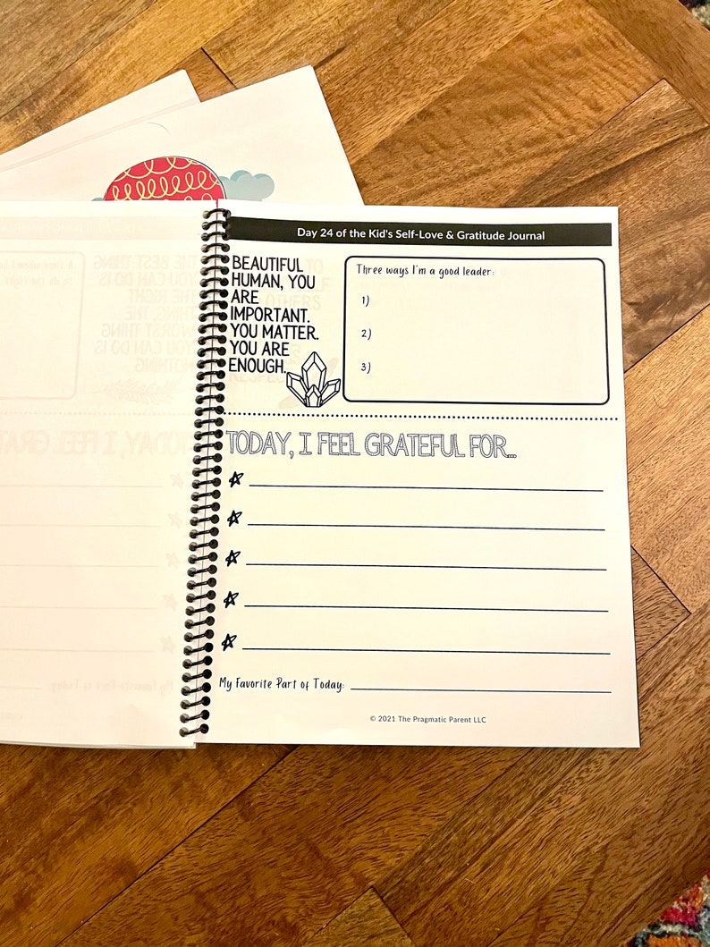 May include: A spiral bound journal with a black and white illustration of a crystal and the text "Beautiful Human, You Are Important. You Matter. You Are Enough." The journal is titled "Day 24 of the Kid's Self-Love & Gratitude Journal".
