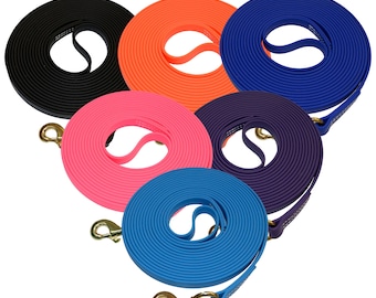 palomine biothane leash
