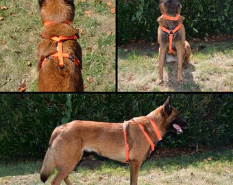 Redline K-9 All Weather Biothane Dog Harness UK