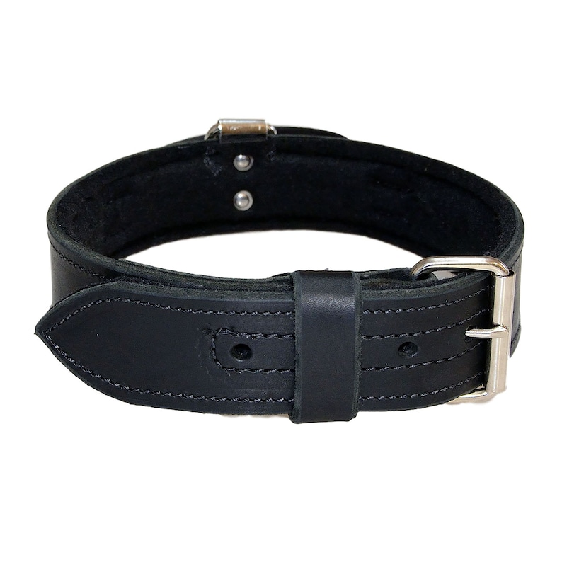 REDLINEK-9 2 Heavy Duty Leather Dog Collar with Felt and Handle Redline K9
