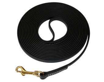 palomine biothane leash