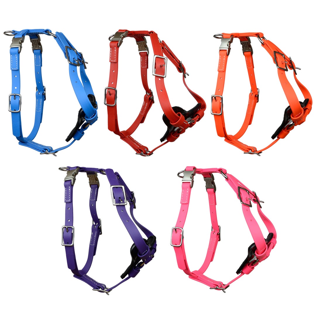 Redline K-9 All Weather Biothane Dog Harness UK