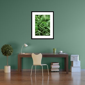Early Sedum plant; vertical photograph; canvas gallery wrap; bamboo panel; botanical art; nature photography; plants; wall decor