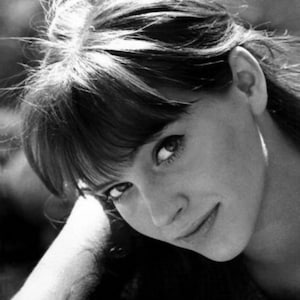 Anna Karina kruissteek patroon pdf-formaat
